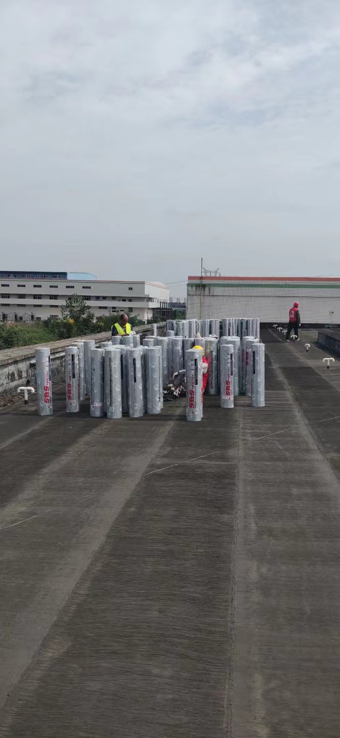 1679495729881042.jpg 204906267512083941.jpg